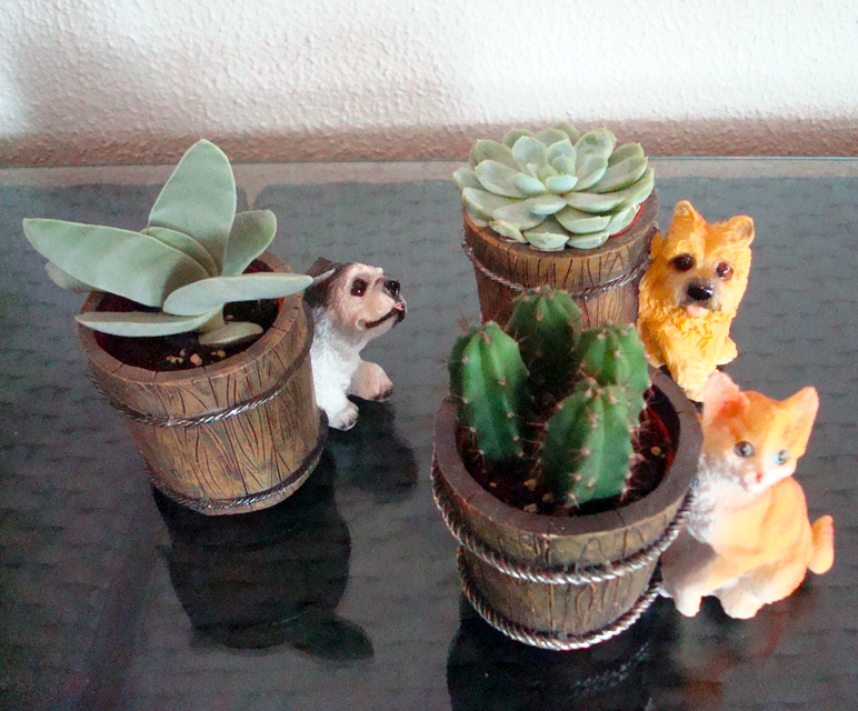 Planta_4d5c01e313ddd